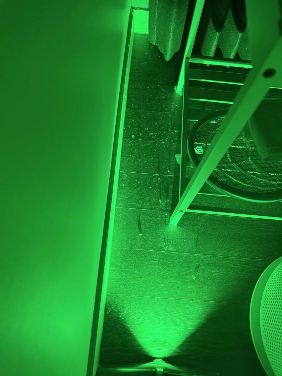 다이슨 펜슬백 LED 그린라이트