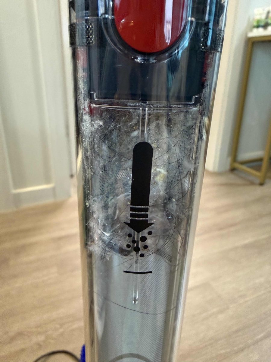 다이슨 펜슬백 먼지통 먼지 흡입